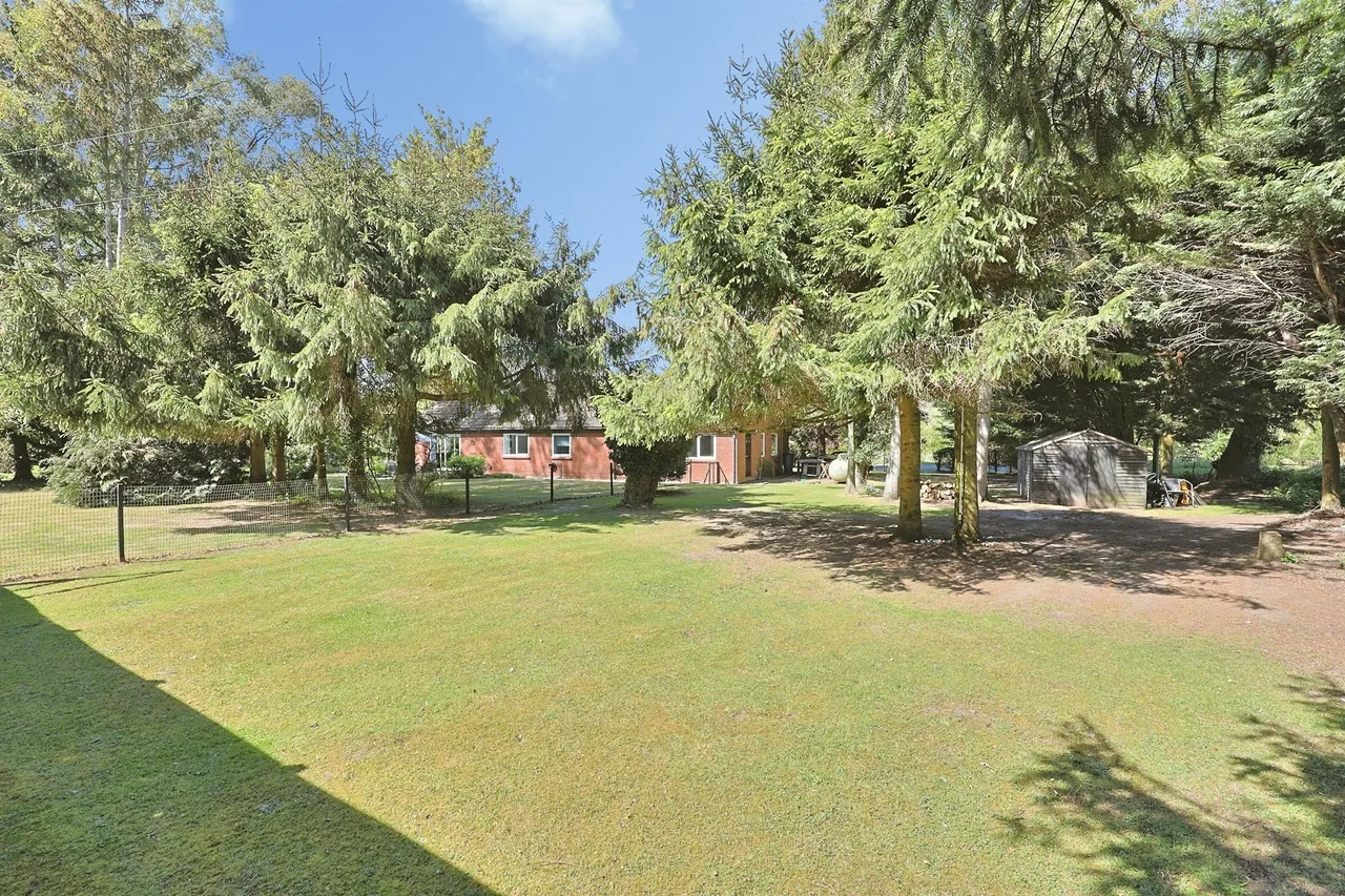 Fen Road, Scarning, NR19, photo 18