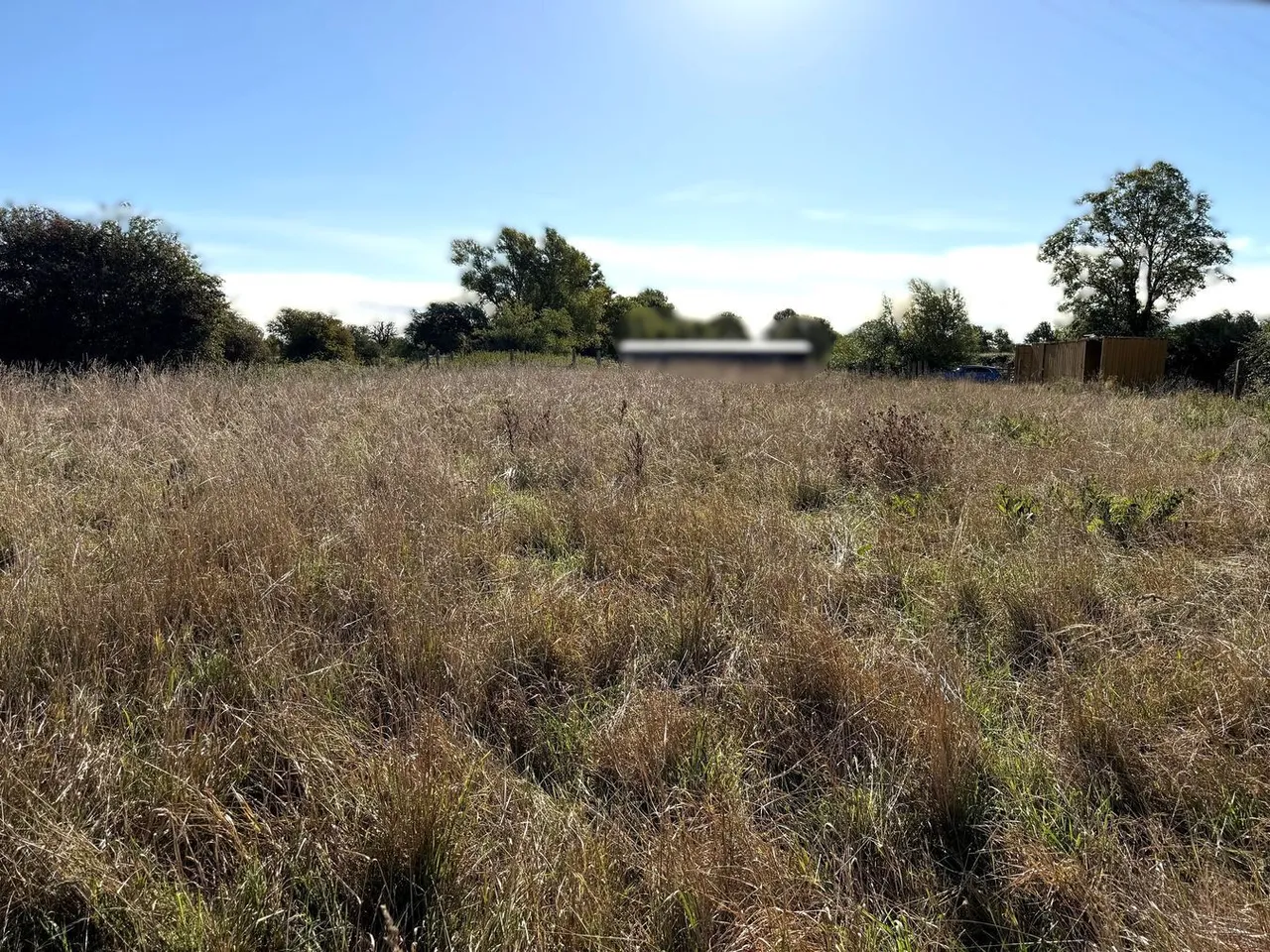 Merry Lane, Bason Bridge, TA9, photo 2
