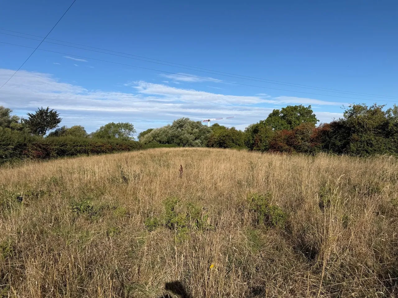 farm & land for sale, Merry Lane, Bason Bridge, TA9