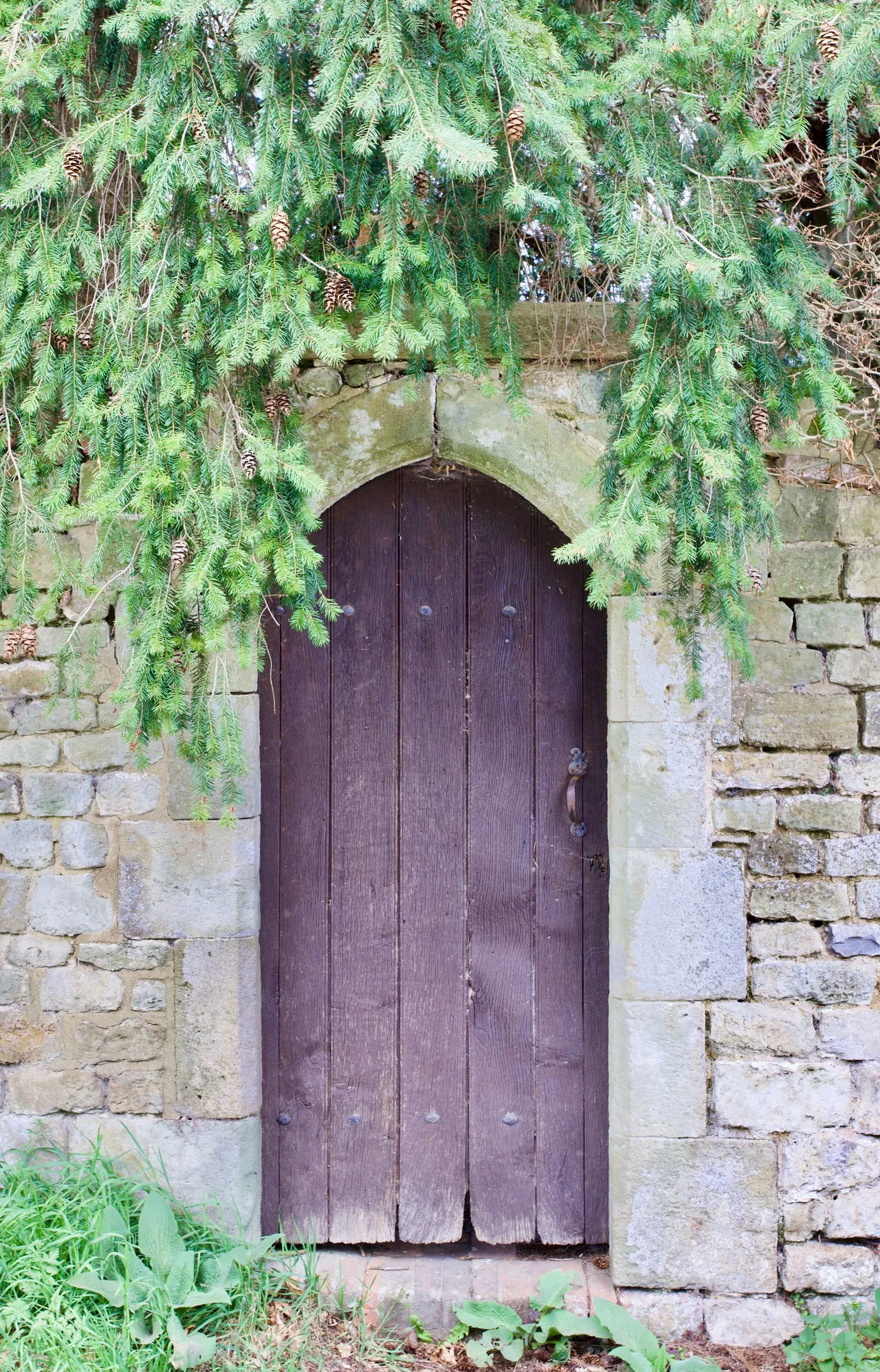 Mill Lane, Stedham, GU29, photo 19