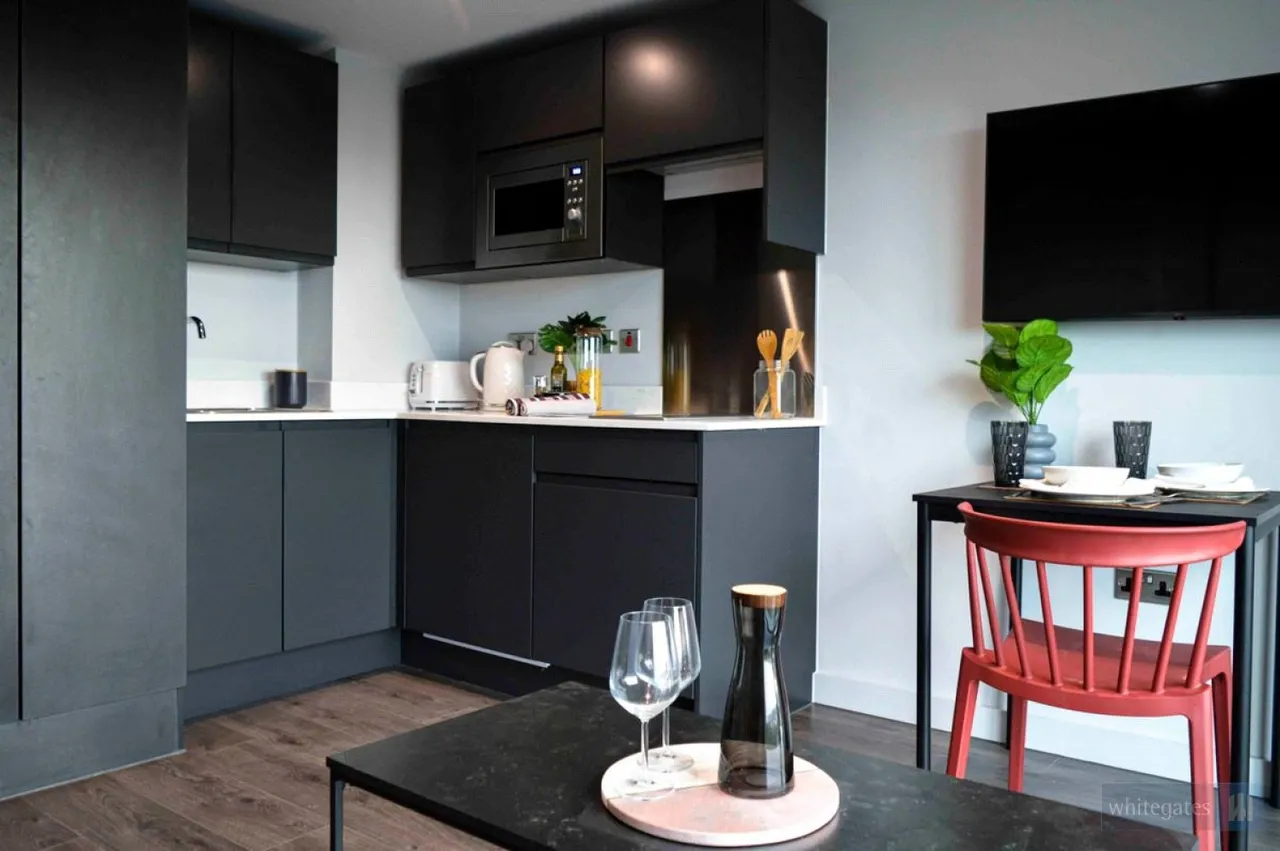 Low Hill, Liverpool, L6, photo 14
