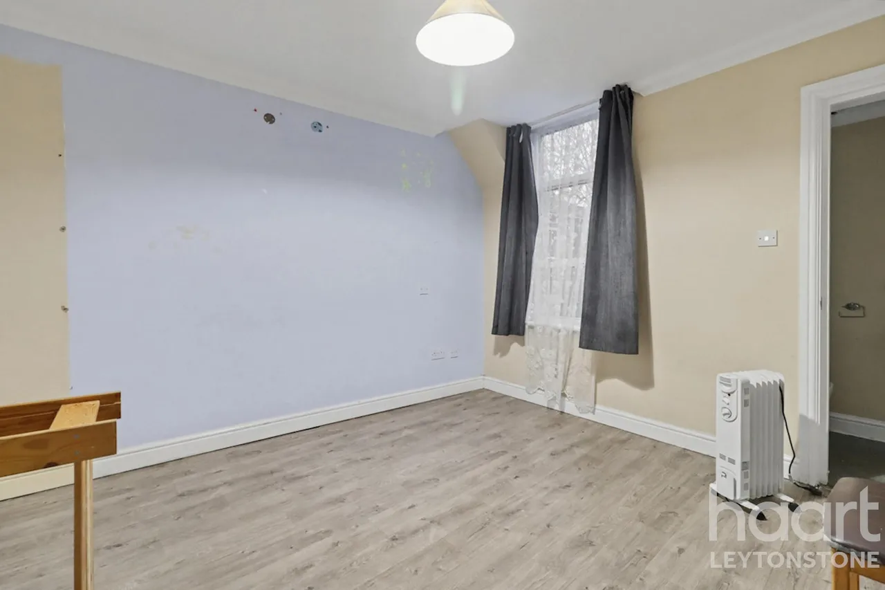 Harold Road, London, E11, photo 11