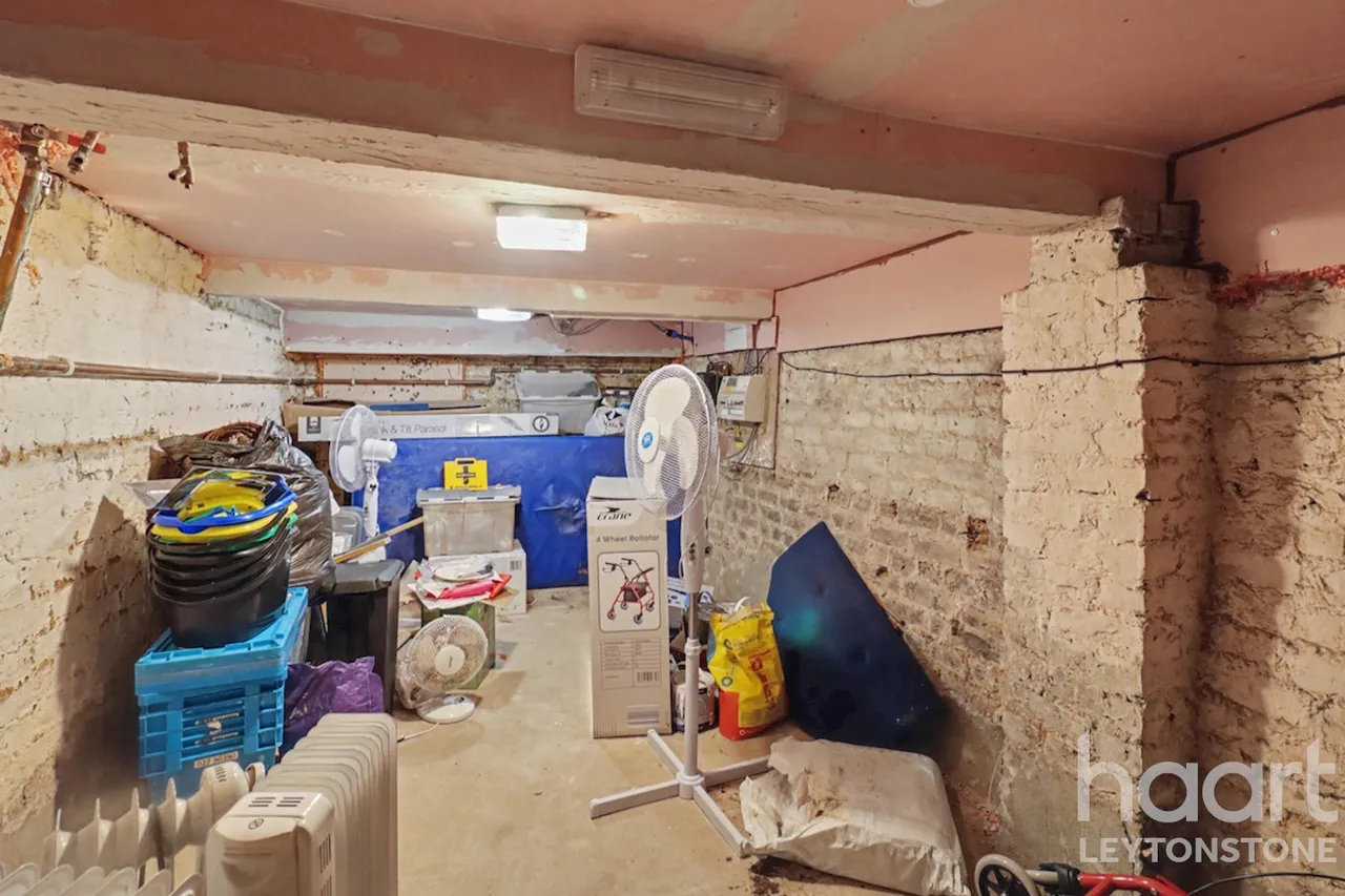 Harold Road, London, E11, photo 7