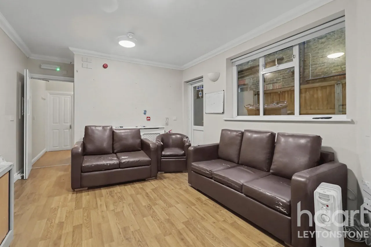 Harold Road, London, E11, photo 9