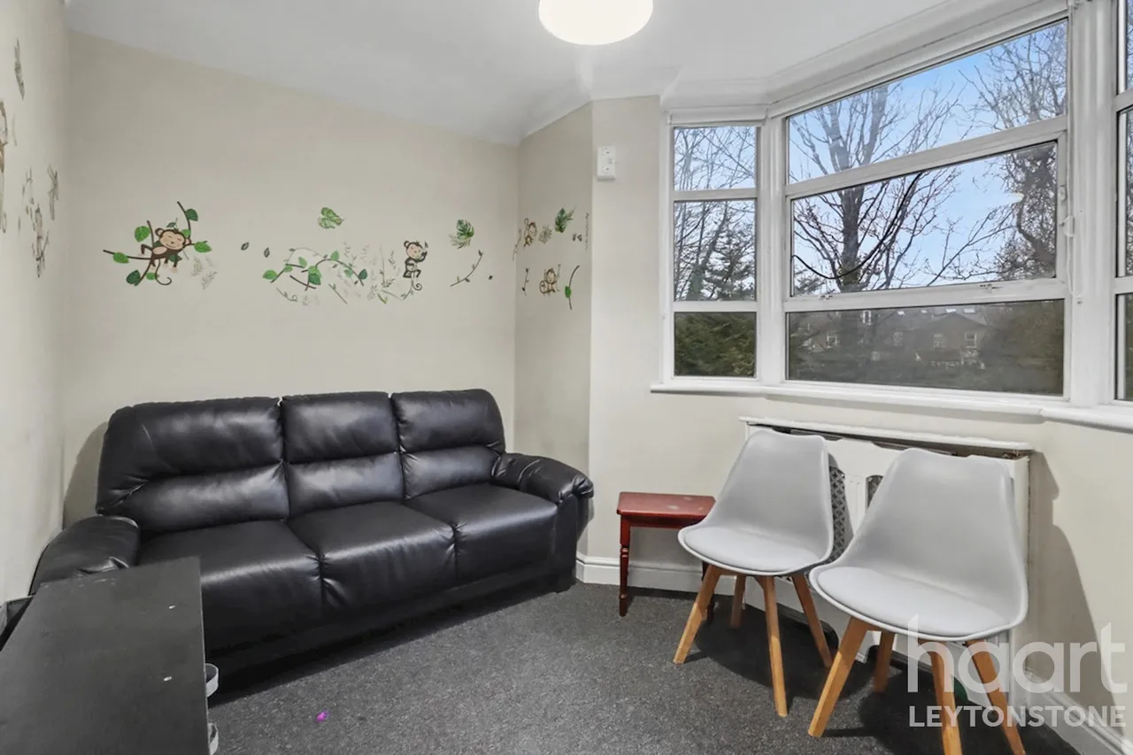 Harold Road, London, E11, photo 12