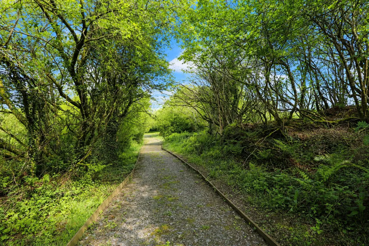 Woolsery, Bideford, EX39, photo 37