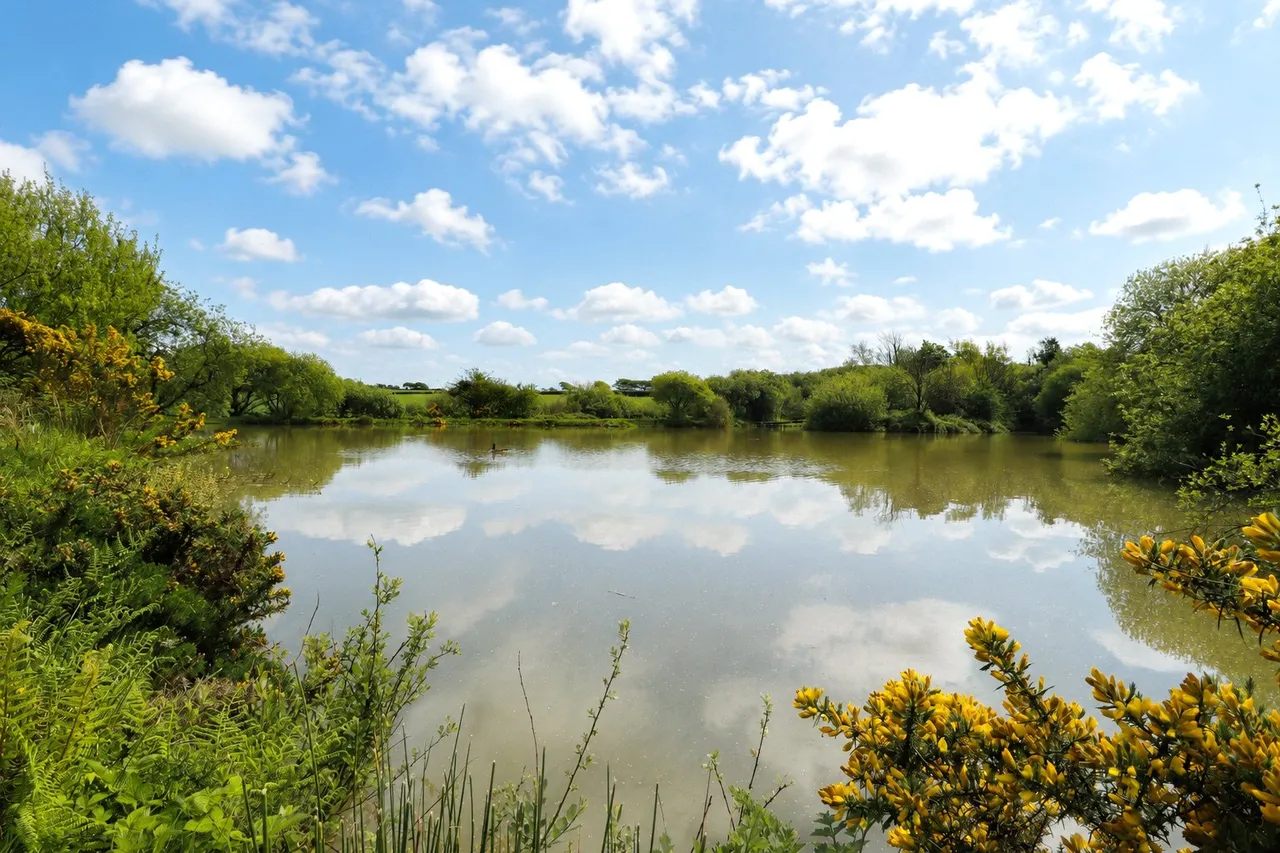 Woolsery, Bideford, EX39, photo 41