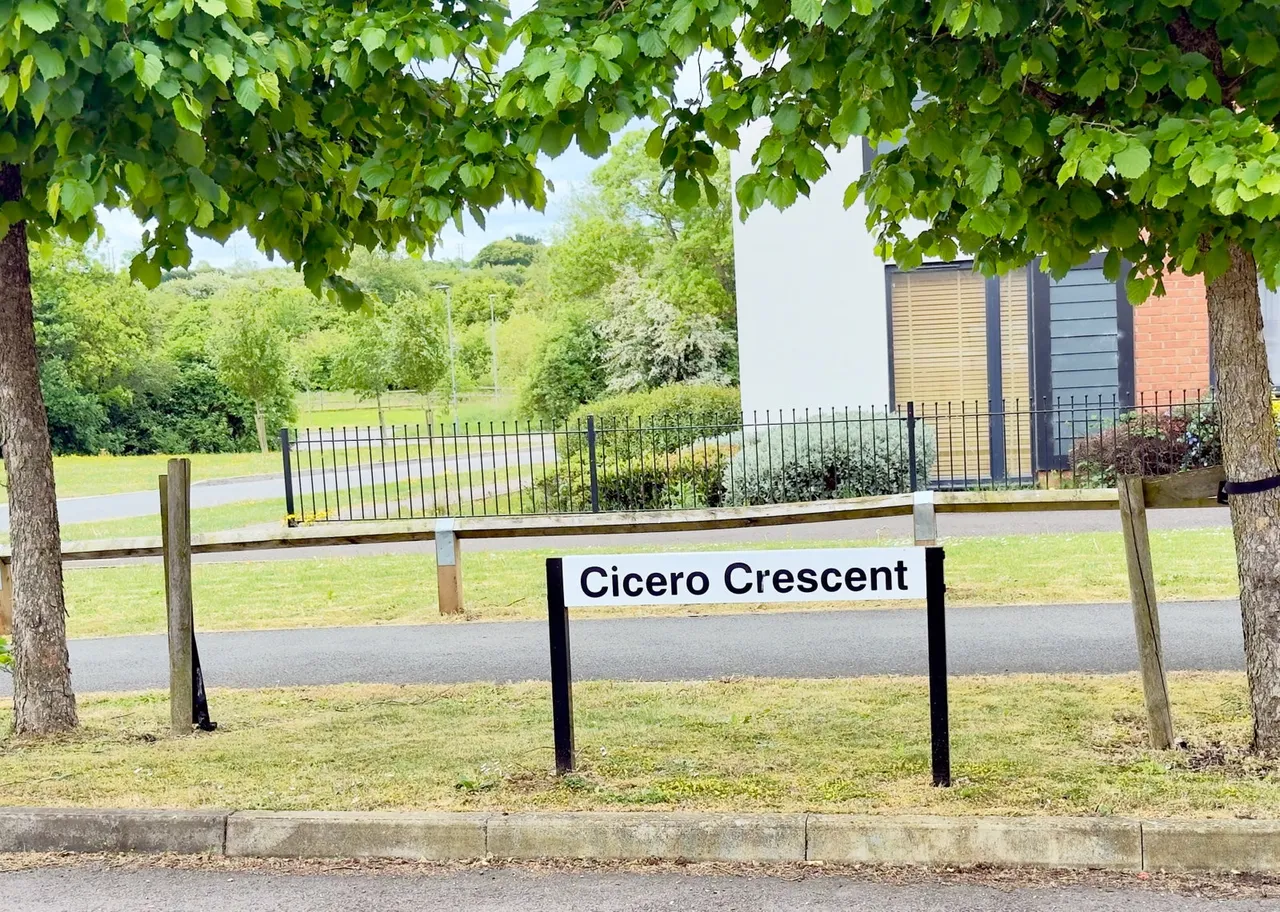 Cicero Crescent, Fairfields, MK11, photo 20