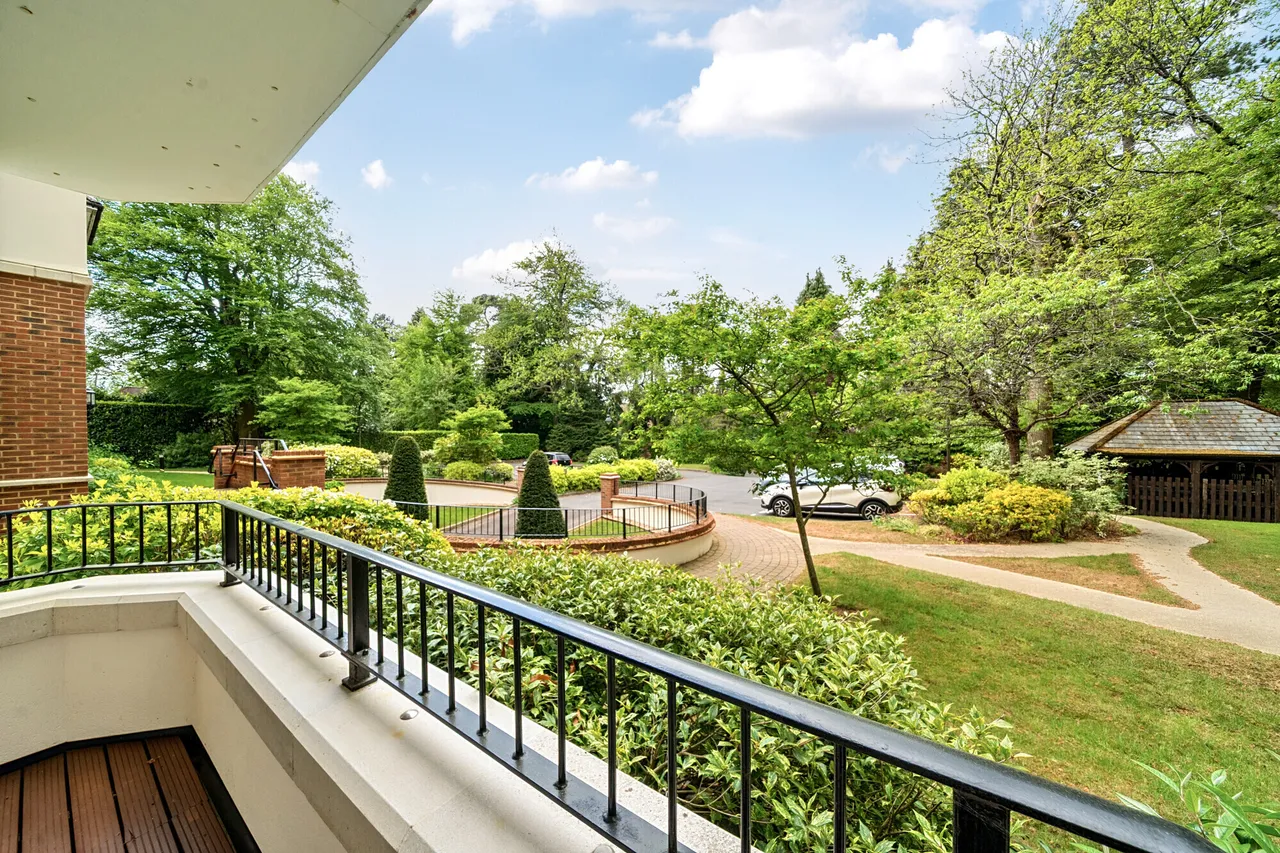 Wood Road, Hindhead, GU26, photo 8