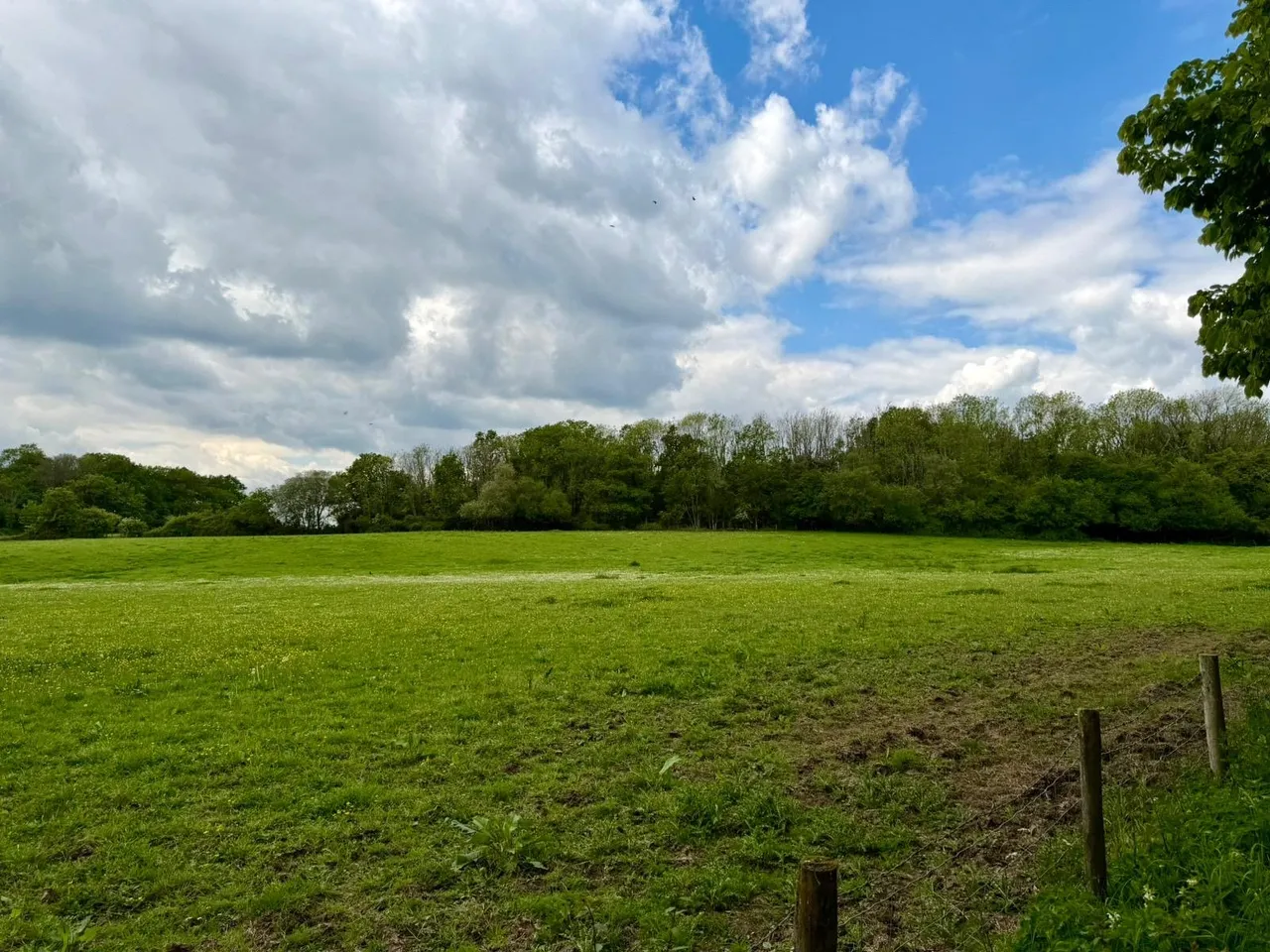 Farley Lane, Braishfield, Romsey, Hampshire, SO51 0QL, photo 16