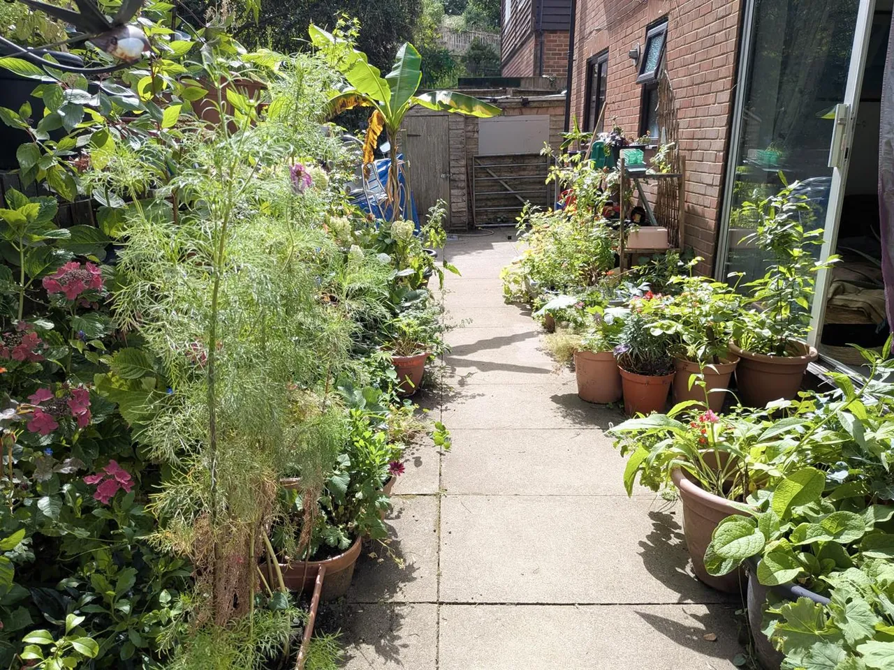 Castle Rise, Ridgewood, Uckfield, East Sussex, TN22 5UN, photo 14