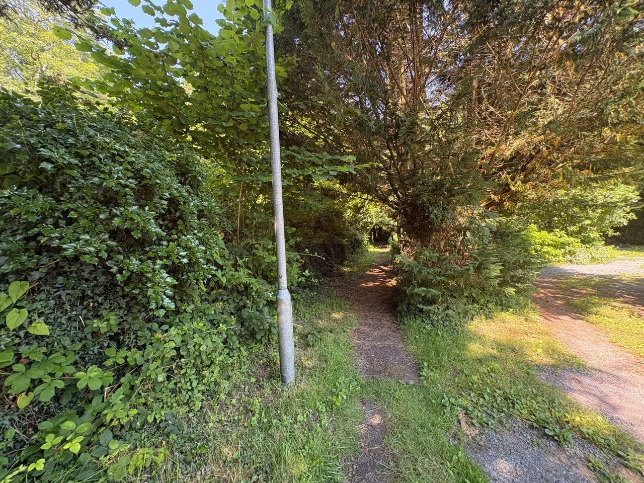 Maesywern Road, Glanamman, SA18, photo 15