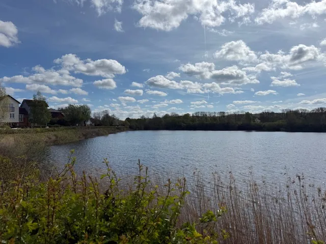Reigate and Banstead, RH1, photo 14