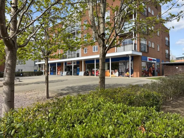 Reigate and Banstead, RH1, photo 12