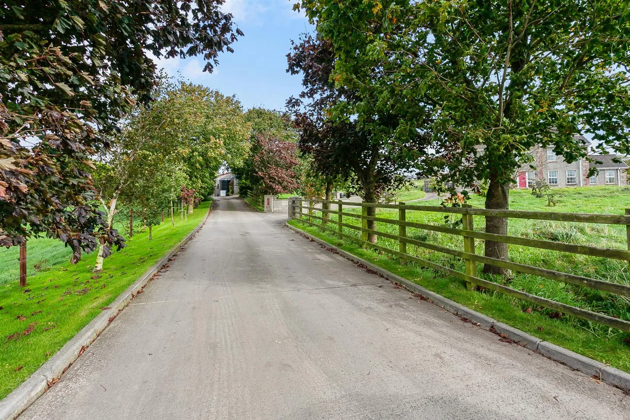 Drumlough Road, Annahilt, BT26, photo 35