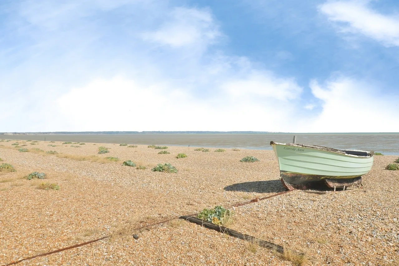 Coast Drive, Lydd on Sea, Romney Marsh, Kent, TN29, photo 12