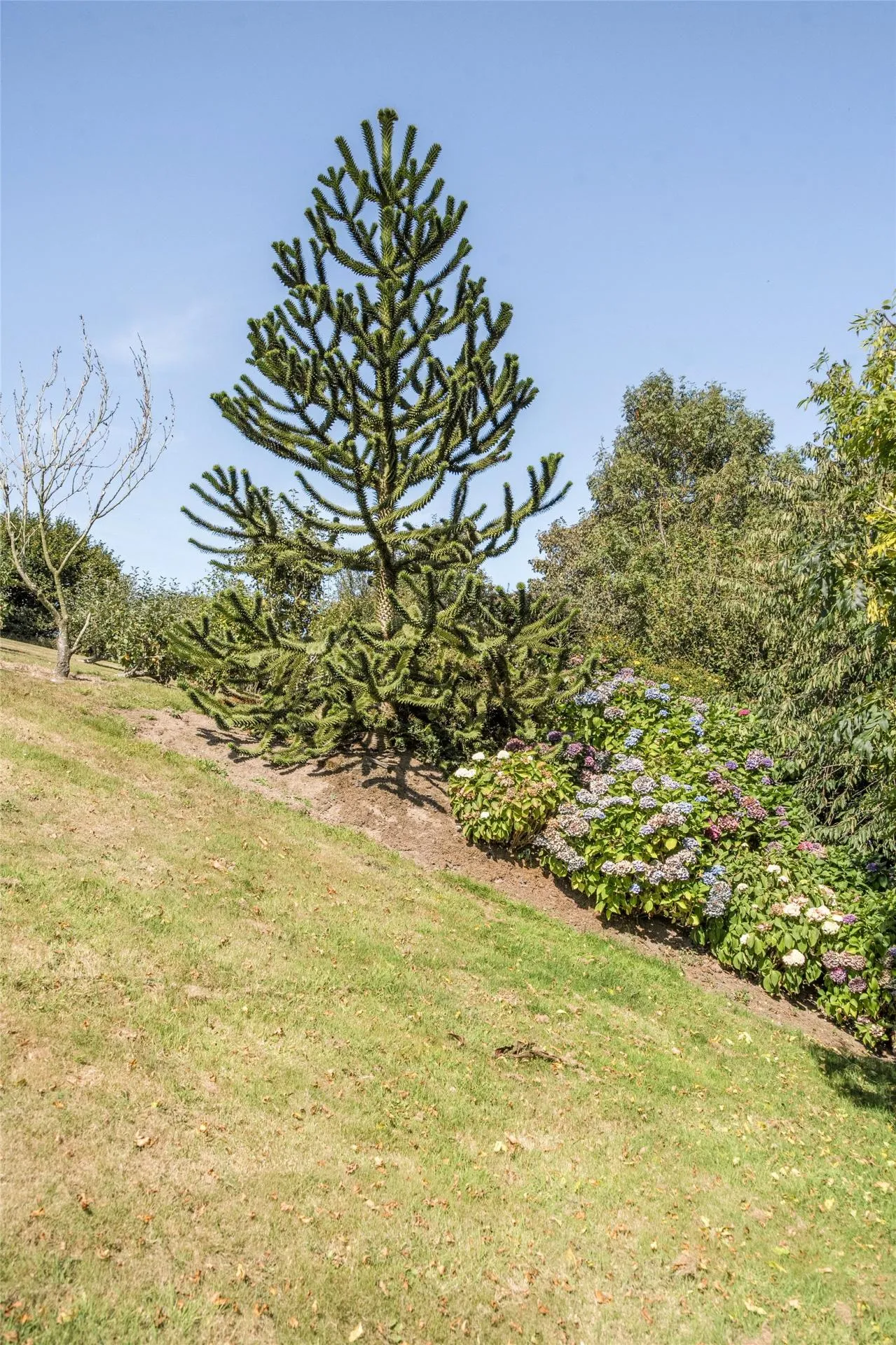 Winsham, Braunton, photo 32