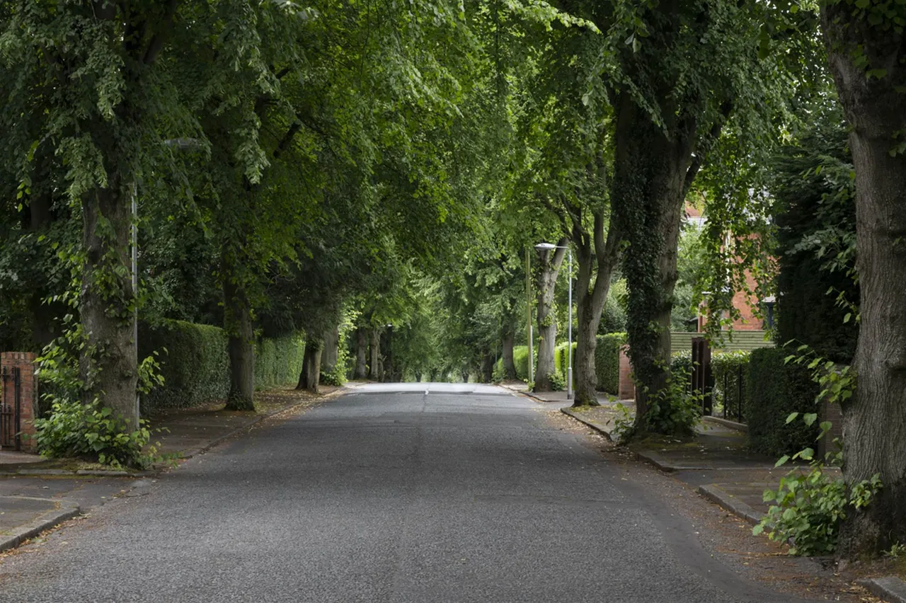 Myrtlefield Park, Belfast, BT9, photo 31