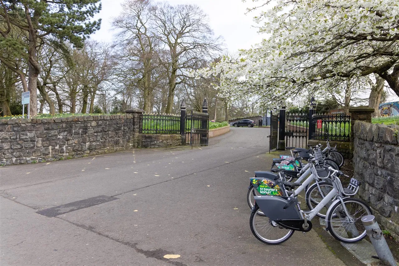 Mornington Place, Belfast, BT7, photo 42