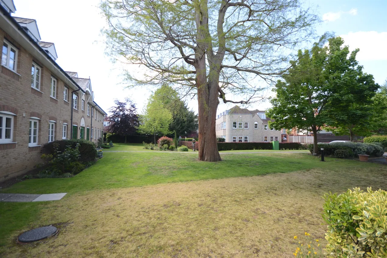 Cedar Avenue, Chelmsford, CM1, photo 7