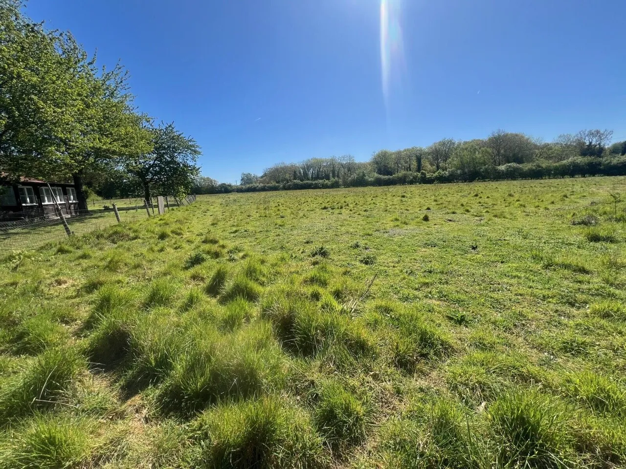 Oakley Wood, Benson, OX10, photo 7