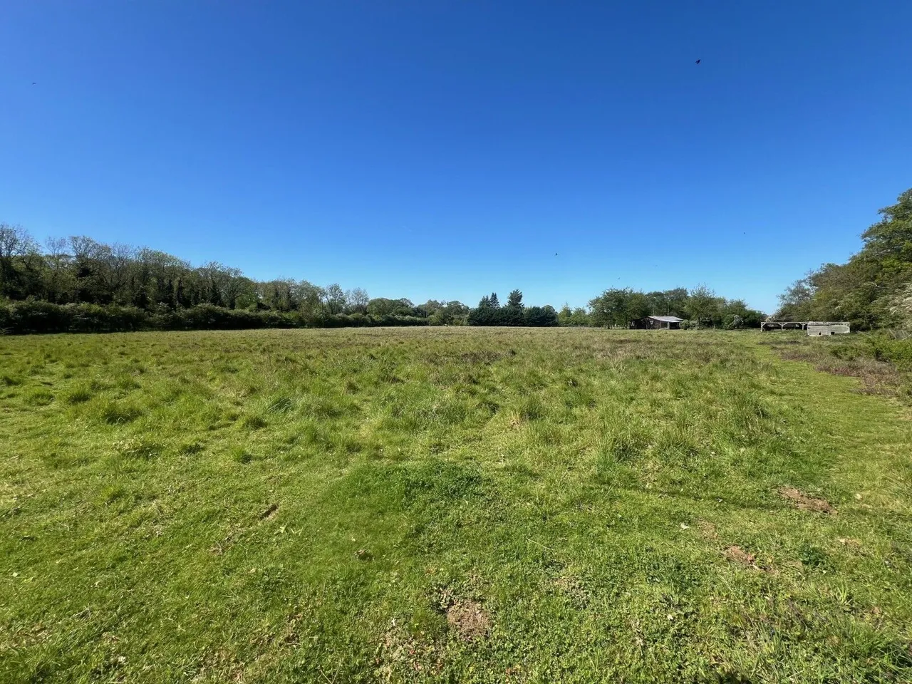 Oakley Wood, Benson, OX10, photo 2