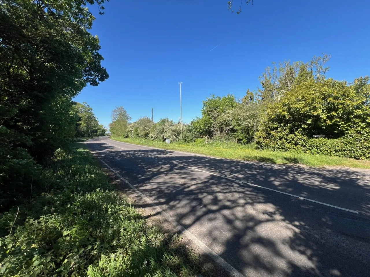 Oakley Wood, Benson, OX10, photo 10