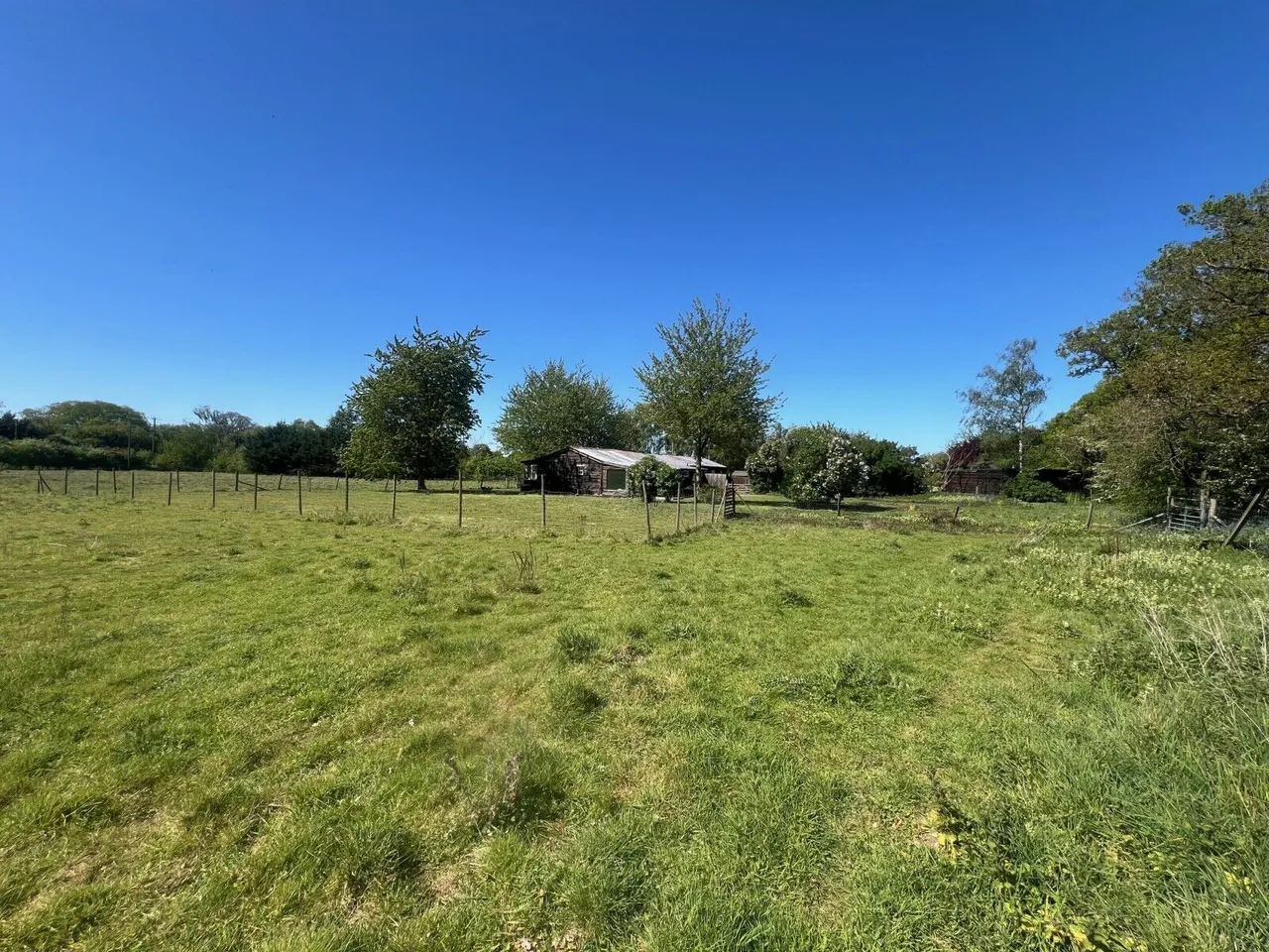 Oakley Wood, Benson, OX10, photo 4