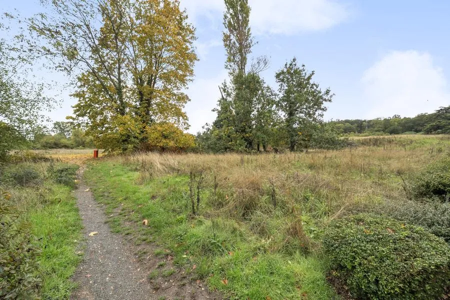 Gomer Road, Bagshot, GU19, photo 15