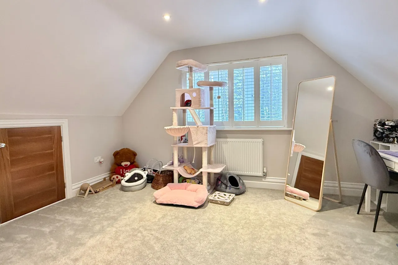 Bushmead Drive, Ashley Heath, BH24, photo 23