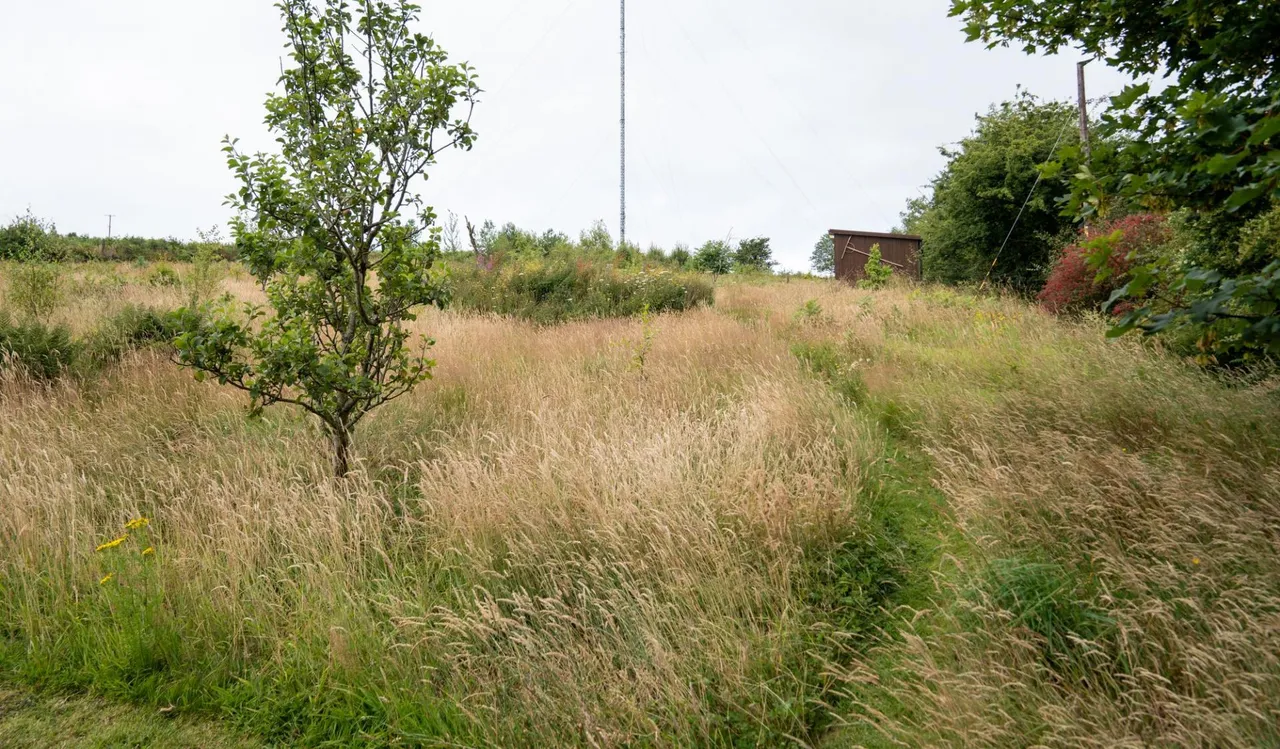 Crymych, SA41, photo 54