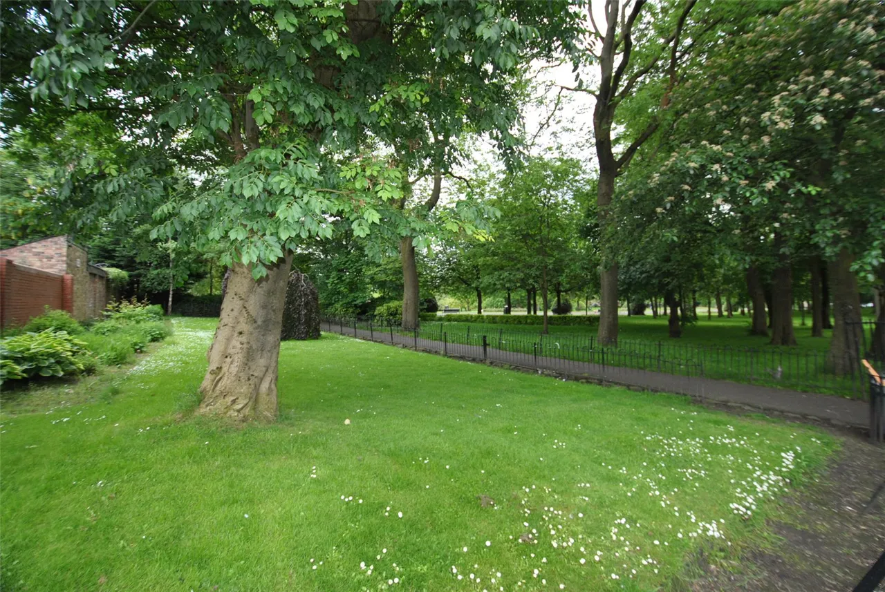 Staffa Street, Dennistoun, G31, photo 9