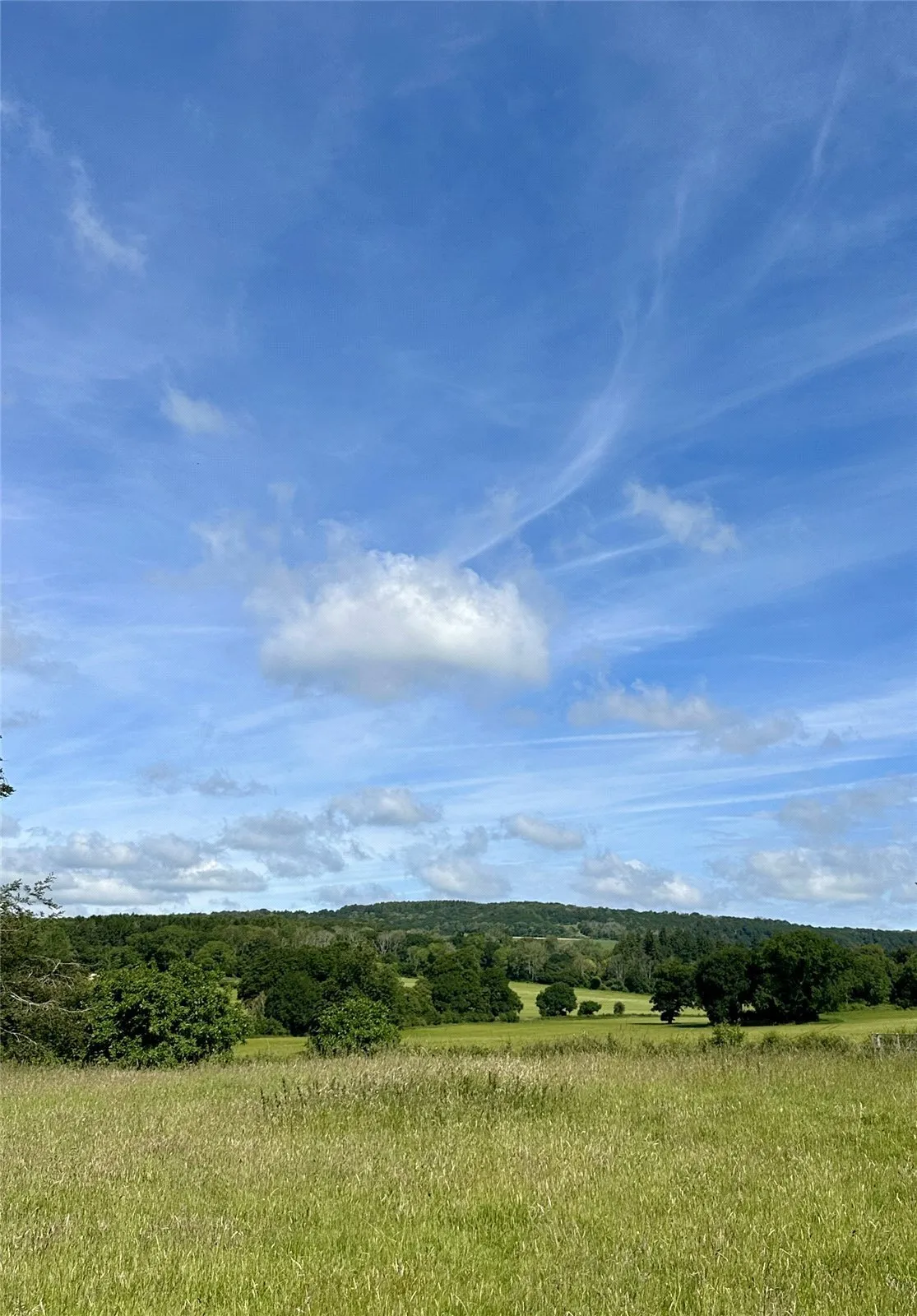 Downs Road, West Stoke, PO18, photo 12