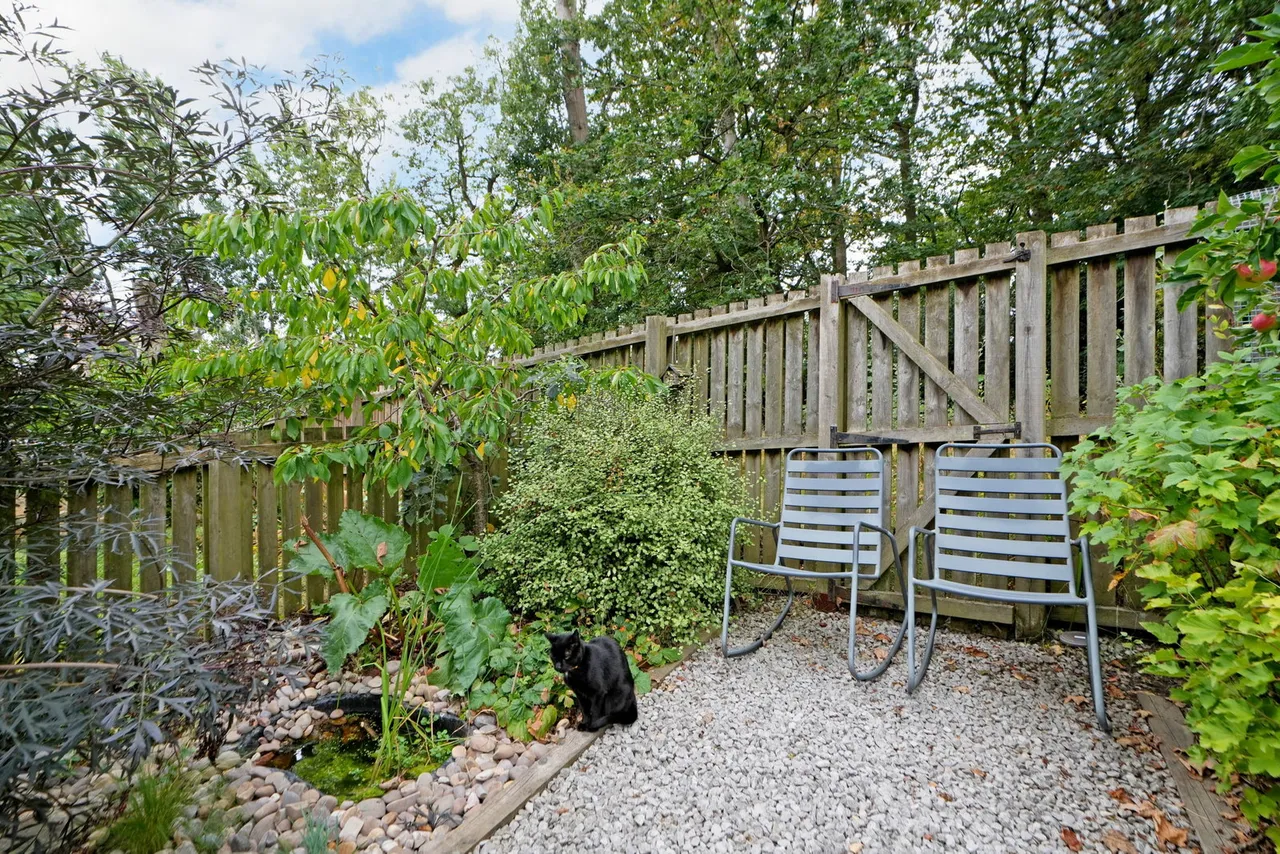 Ben Lane, Loxley, S6, photo 43