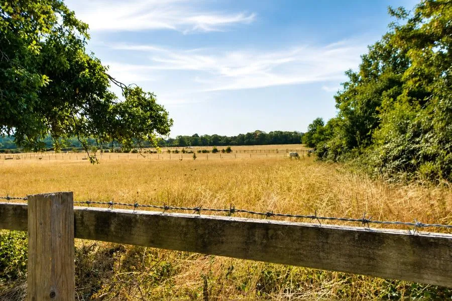 Crispie, Lamborough Hill, OX13, photo 5