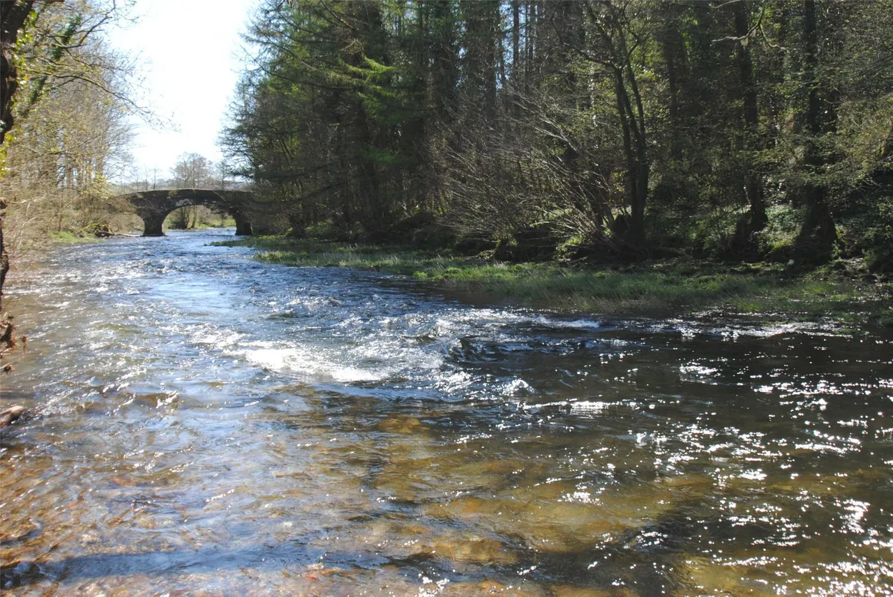 Brushford, Dulverton, photo 9