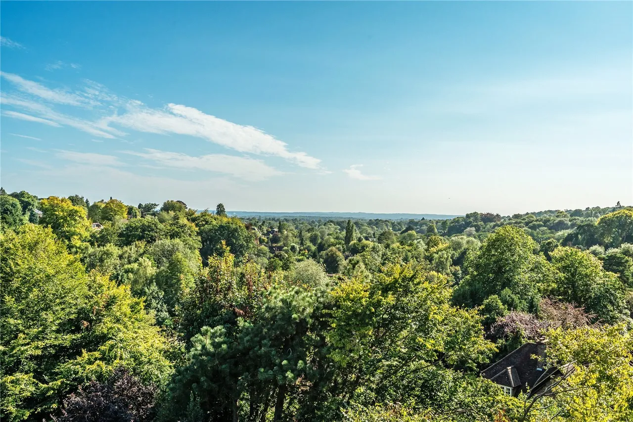 West Hill, Oxted, RH8, photo 11