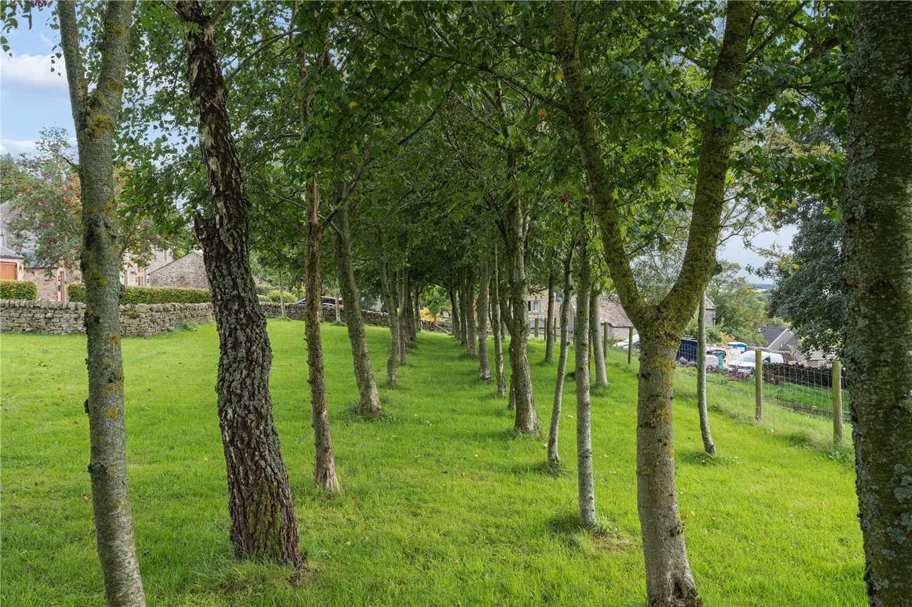 Long Preston, Skipton, photo 41