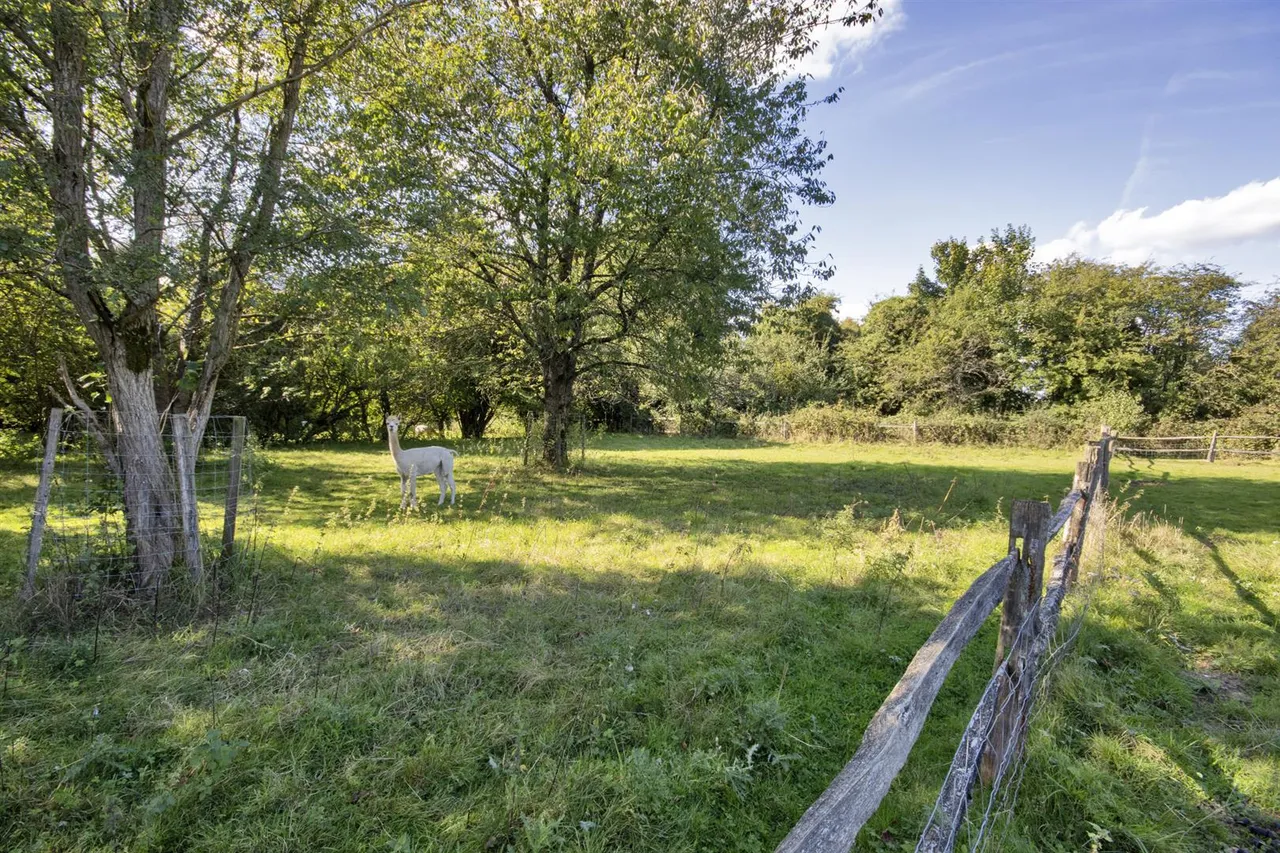 Main Road, Westerham, photo 34