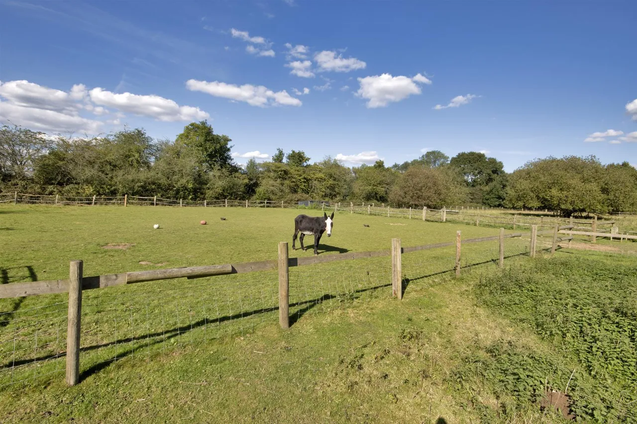 Main Road, Westerham, photo 32