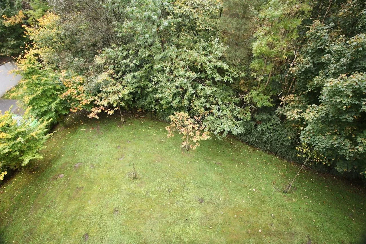 Newlands Place, Cumbernauld, G67 1HS, photo 18
