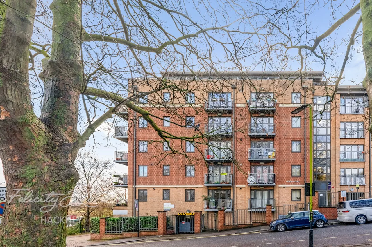 Big Hill, London, E5, photo 9