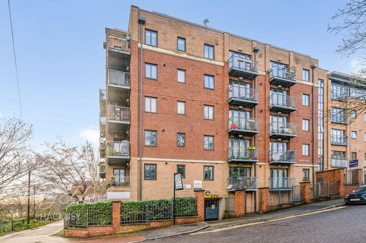 Big Hill, London, E5, photo 10