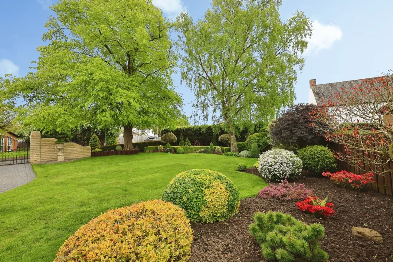 Dene Hall Drive, Bishop Auckland, DL14, photo 24