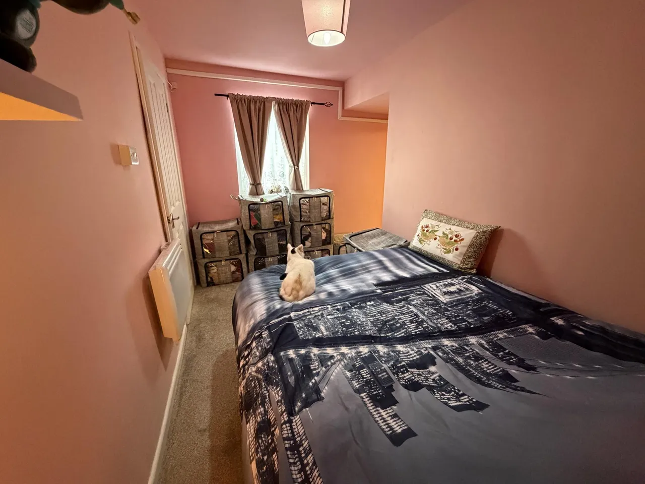 Chapel Street, Camborne, TR14, photo 11