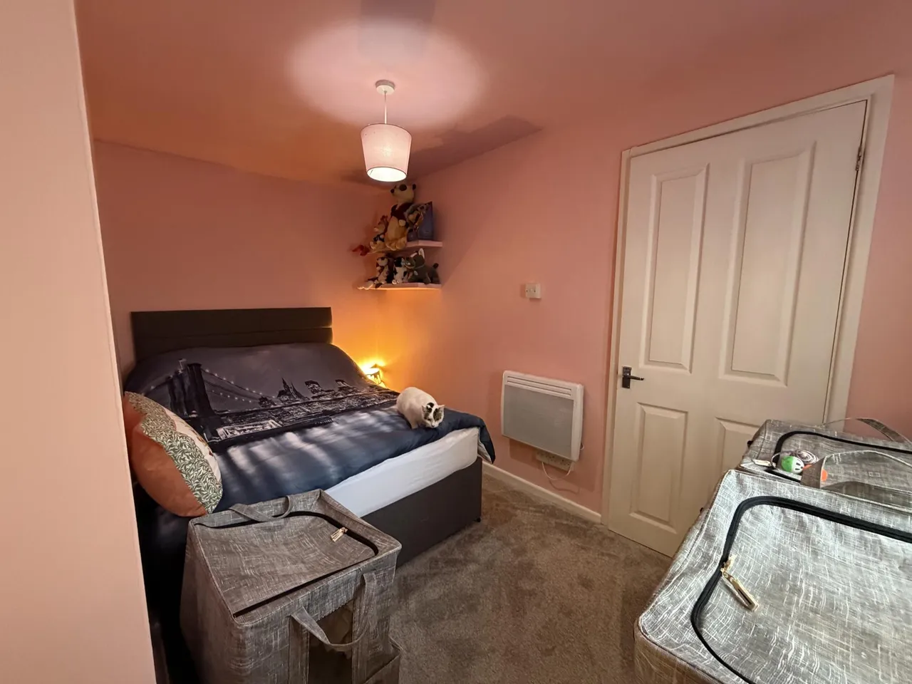 Chapel Street, Camborne, TR14, photo 10