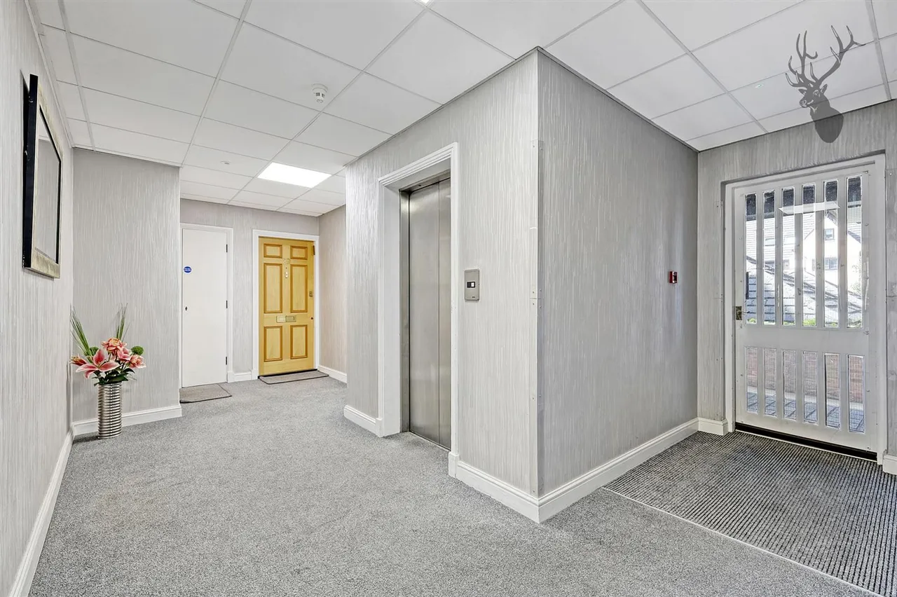 Epping New Road, Buckhurst Hill, IG9, photo 15