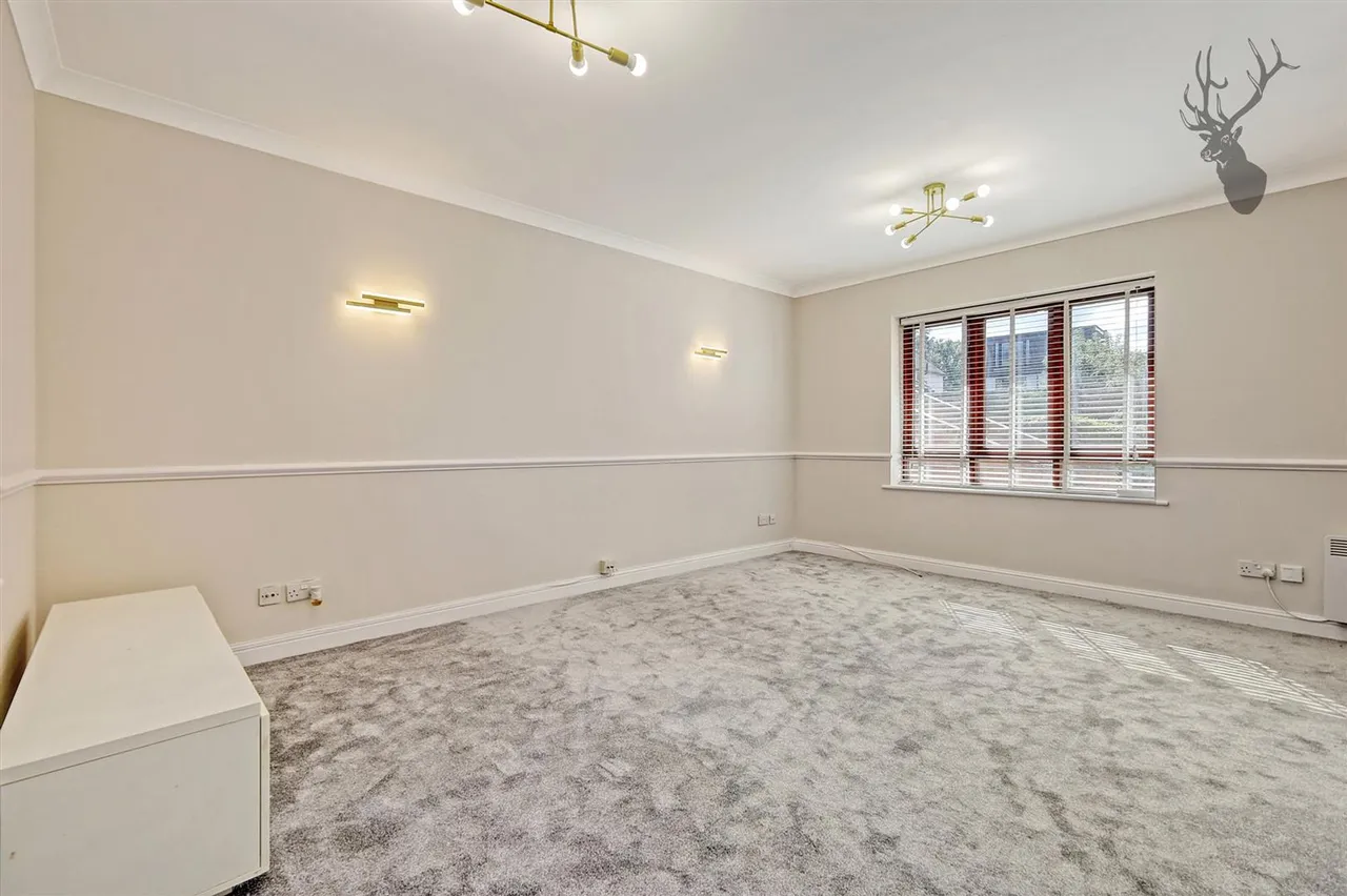 Epping New Road, Buckhurst Hill, IG9, photo 8