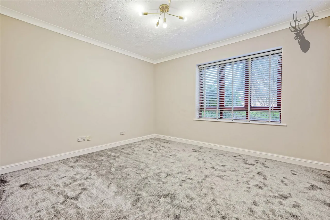 Epping New Road, Buckhurst Hill, IG9, photo 12