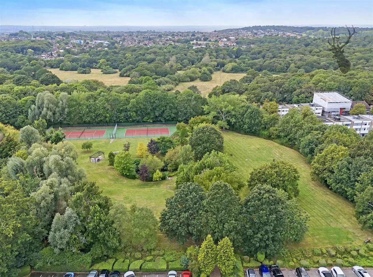 Epping New Road, Buckhurst Hill, IG9, photo 16